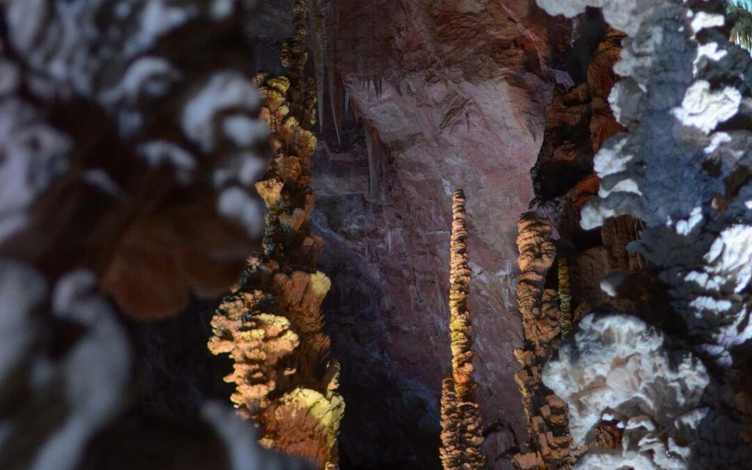 Les Mystérieuses Grottes des Gorges du Tarn : Voyage au Cœur de la Terre