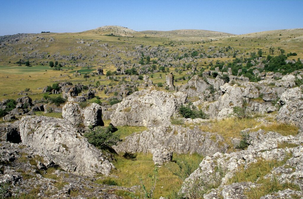 causse-mejean-nimes-le-vieux