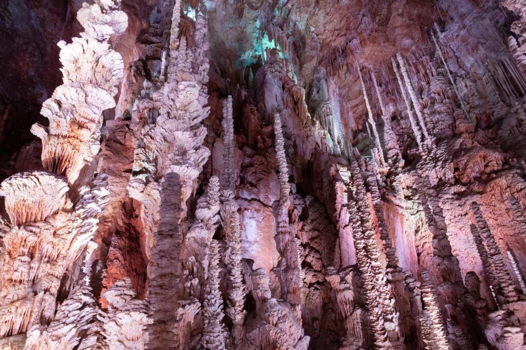 que-faire-sur-le-causse-mejean-grotte