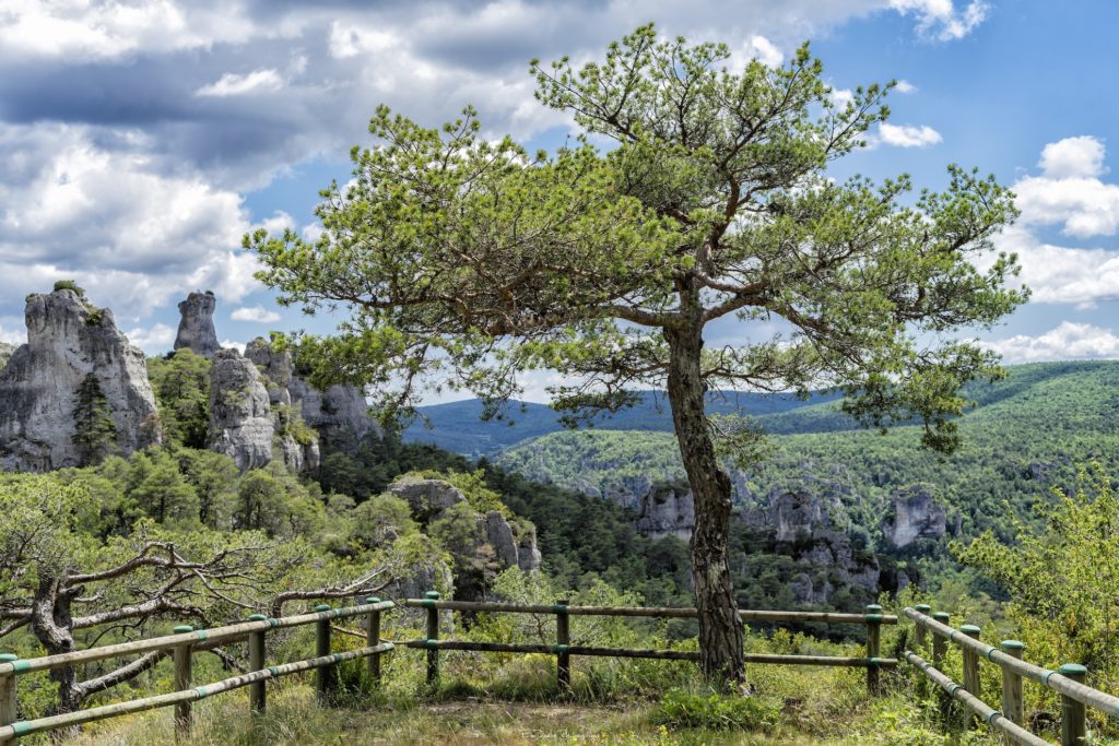 quoi-voir-larzac