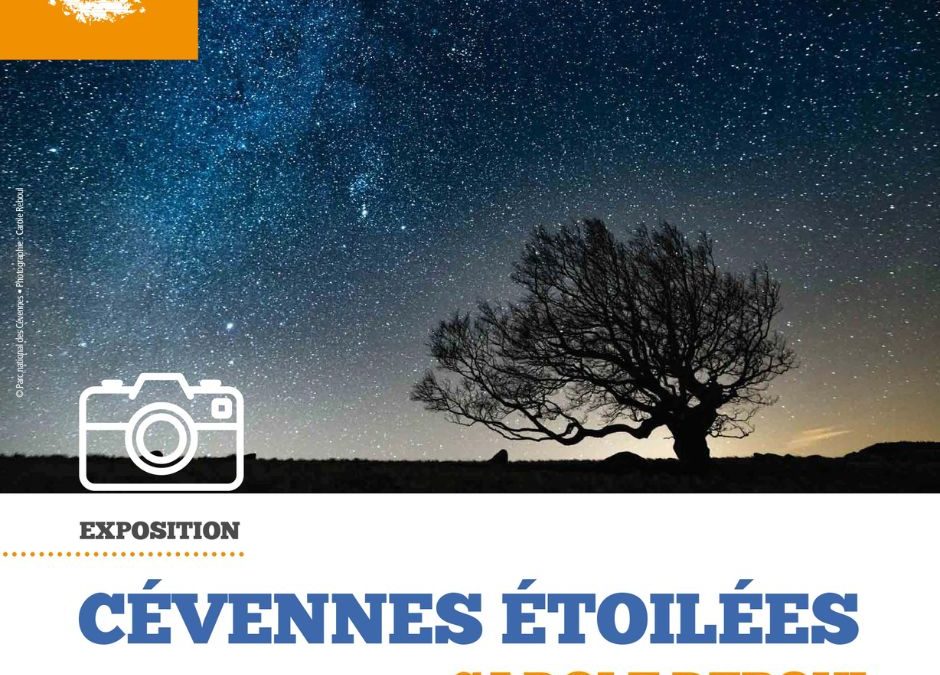 Exposition « Cévennes Étoilées » – L’univers de Carole Reboul à l’Aven Armand