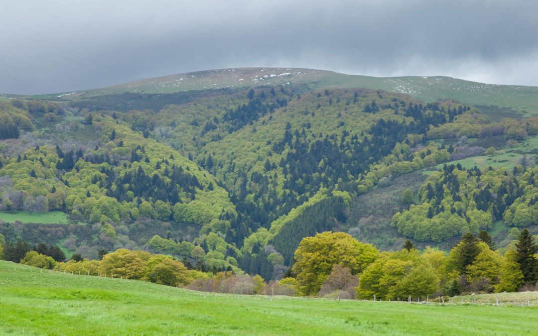 Que faire dans le MassiF Central