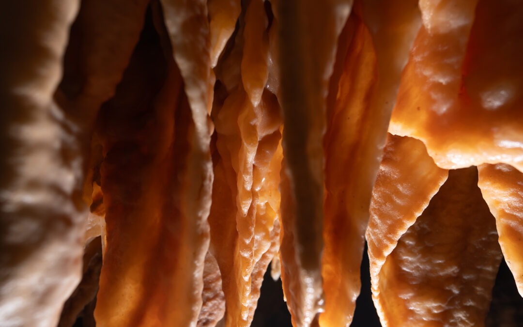 Les concrétions de l’Aven Armand : bien plus qu’une forêt de stalagmites