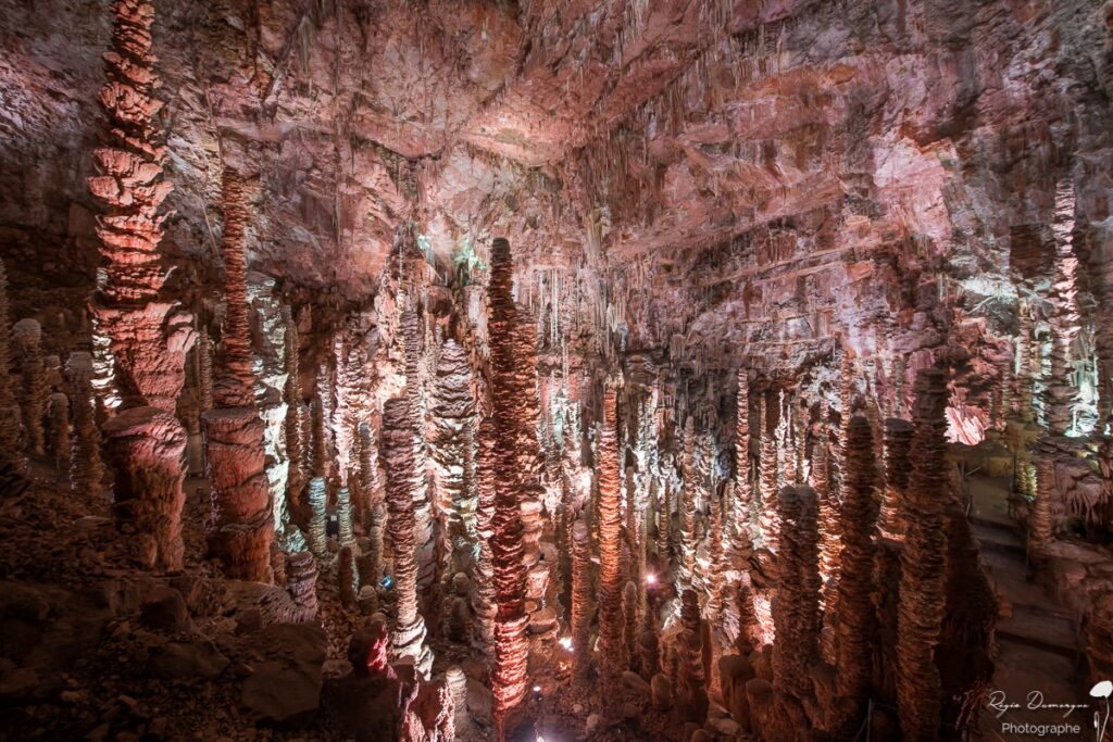 foret-stalagmites